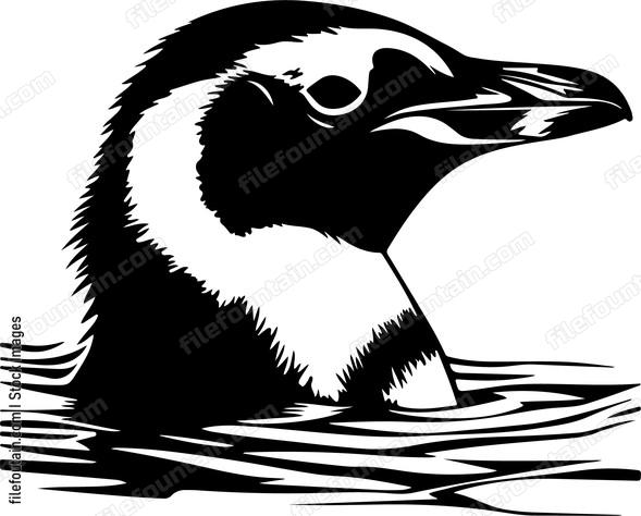 Penguin Head In Water