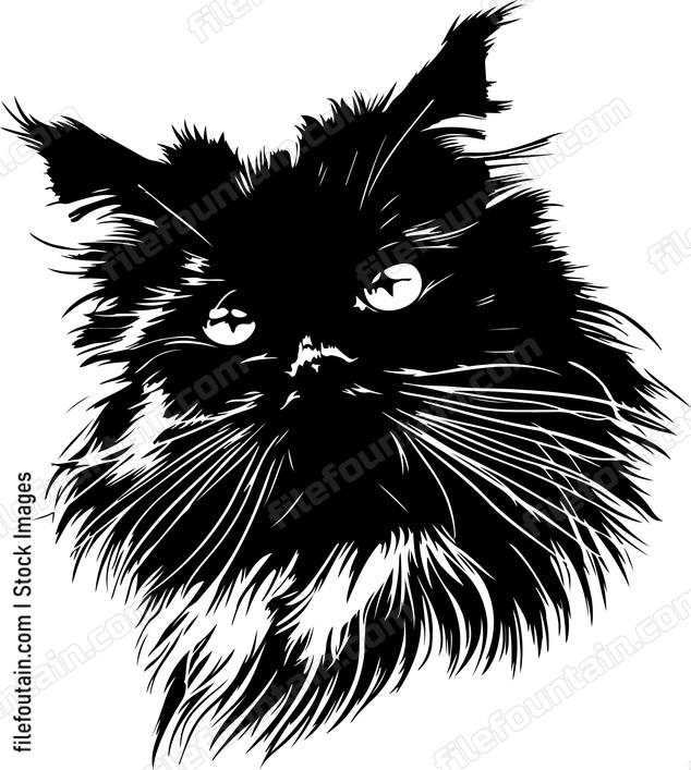 Persian Cat