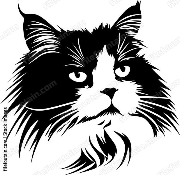 Persian Cat