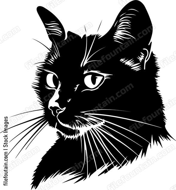 Pet Cat