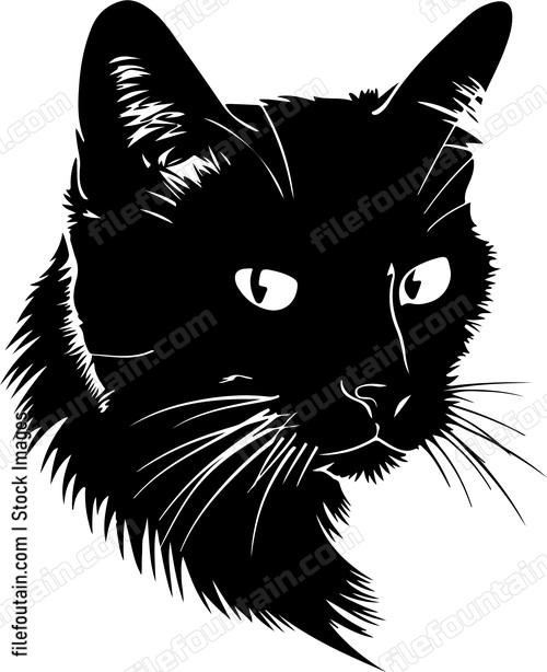 Pet Cat