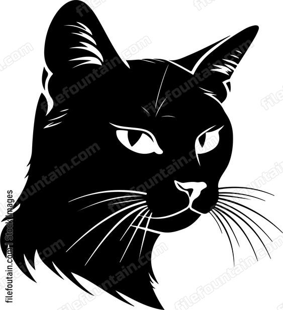 Pet Cat
