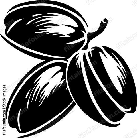 Pistachios