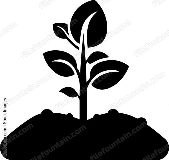 Planting