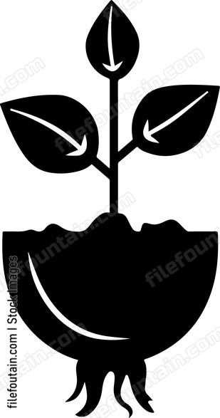 Planting