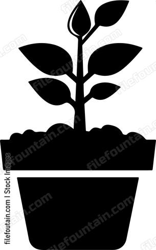 Planting