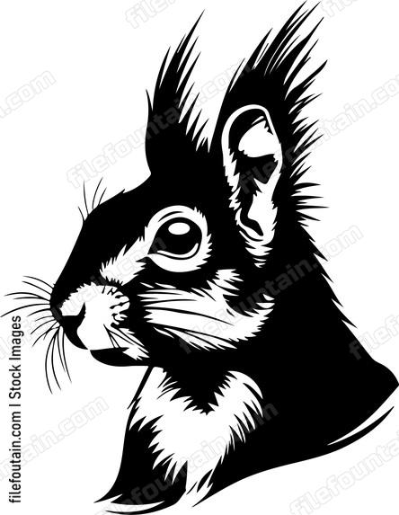 Pointy Ear Squirrel
