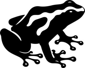 Poisonxdartxfrogsxshowcasingxtheirxvibrantxcolorsxasxaxwarningxtoxpredatorsx