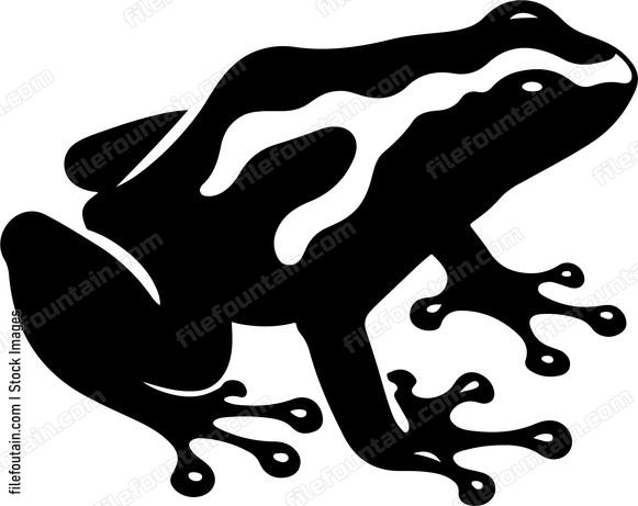 Poisonxdartxfrogsxshowcasingxtheirxvibrantxcolorsxasxaxwarningxtoxpredatorsx