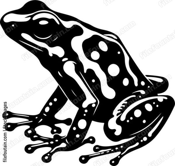 Poisonxdartxfrogsxshowcasingxtheirxvibrantxcolorsxasxaxwarningxtoxpredatorsx