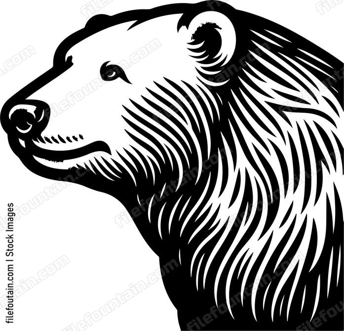 Polar Bear
