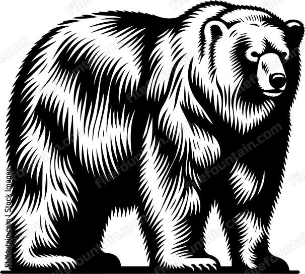 Polar Bear