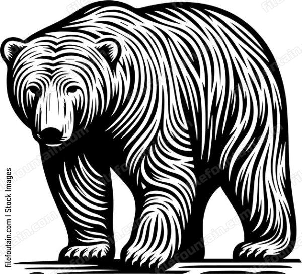 Polar Bear
