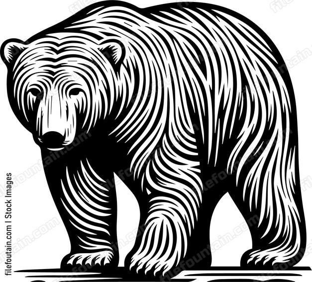 Polar Bear