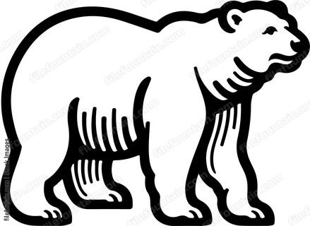 Polar Bear