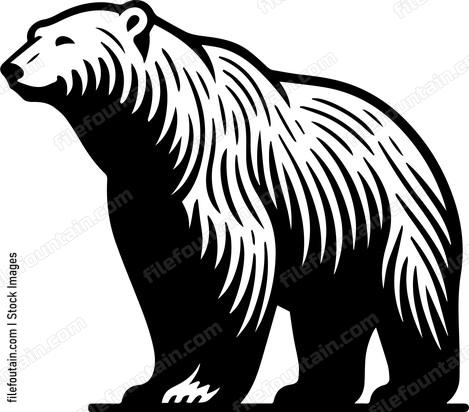 Polar Bear