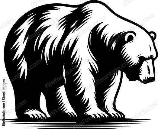 Polar Bear Looking Down