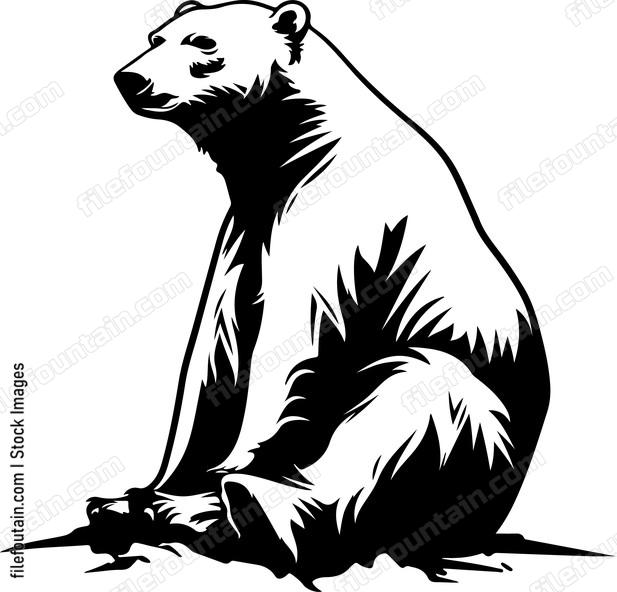 Polar Bear Sitting