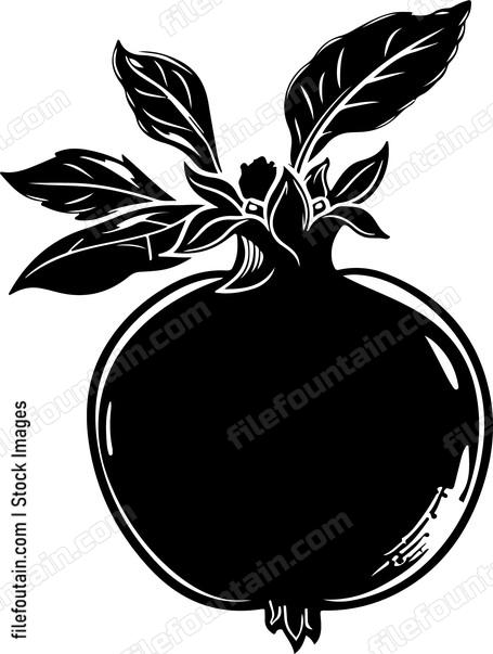 Pomegranate
