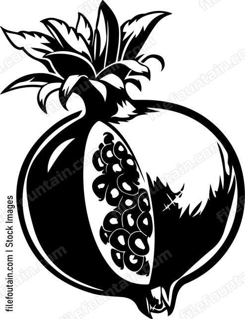 Pomegranate Inside