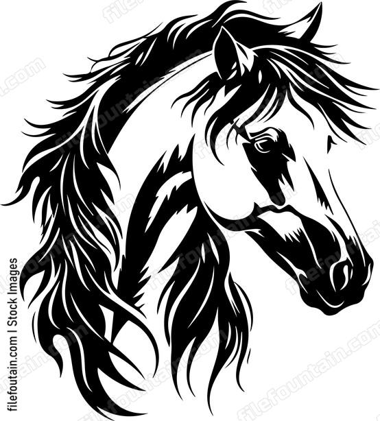 Pony