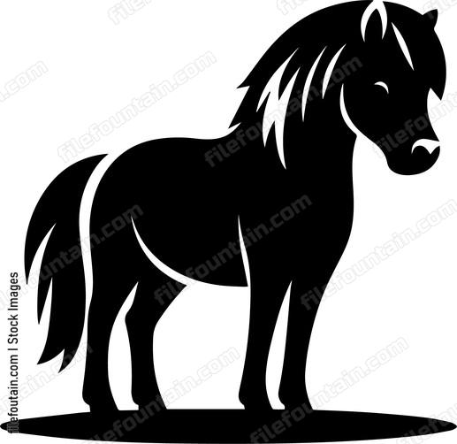 Pony