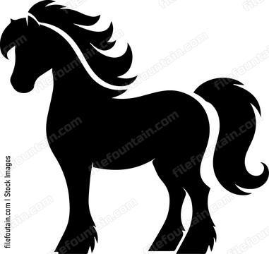 Pony