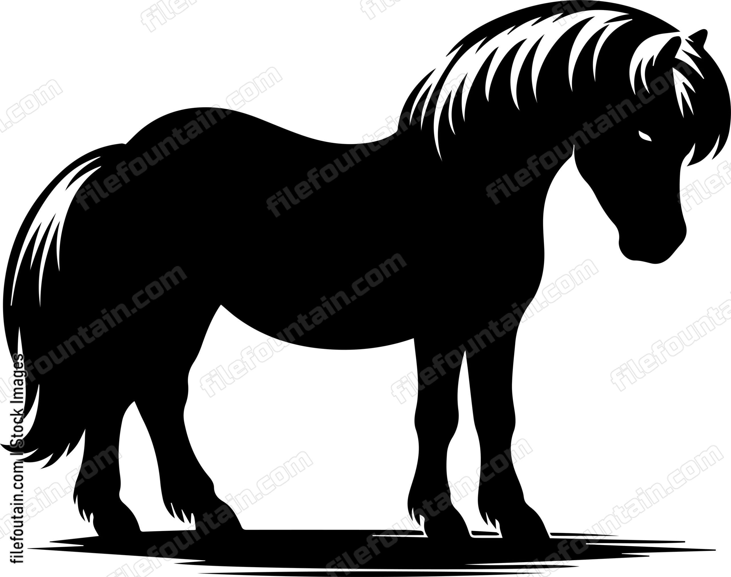 Pony