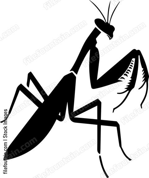 Praying Mantis