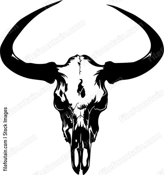 Pronghorn Skull