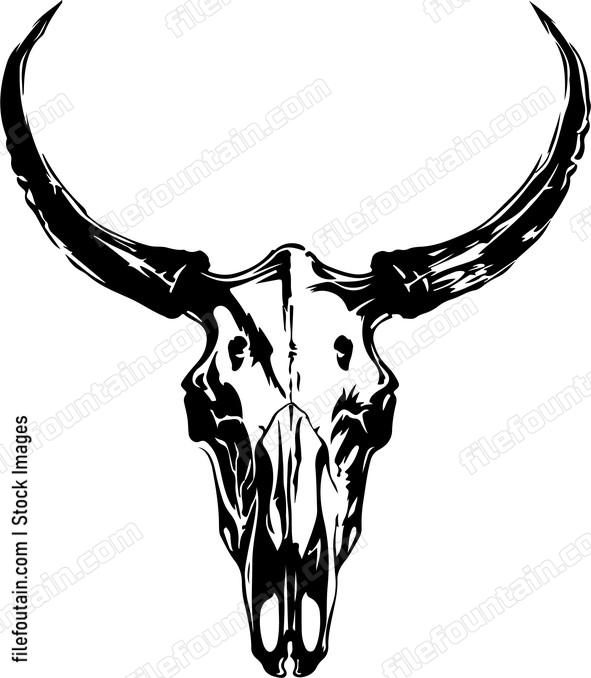 Pronghorn Skull