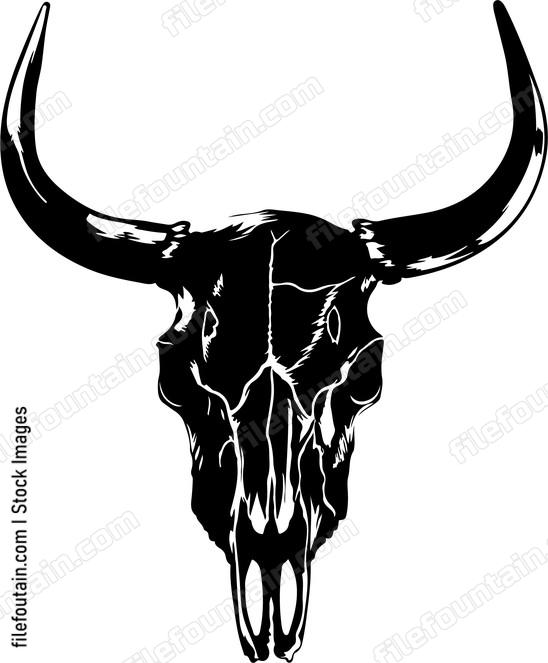 Pronghorn Skull