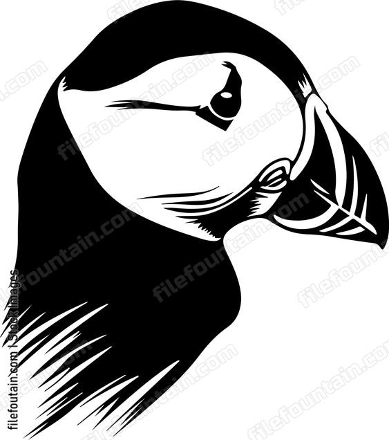 Puffin Bird Head