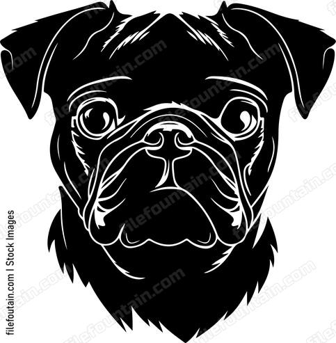 Pug
