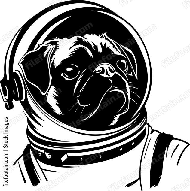 Pug Astronaut