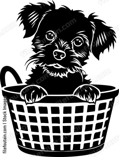 Puppy In Basket