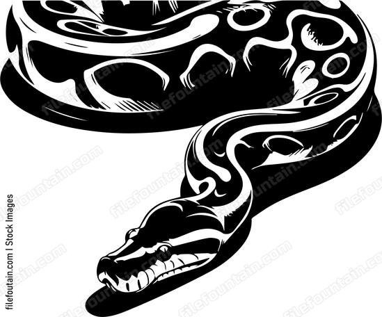 Python