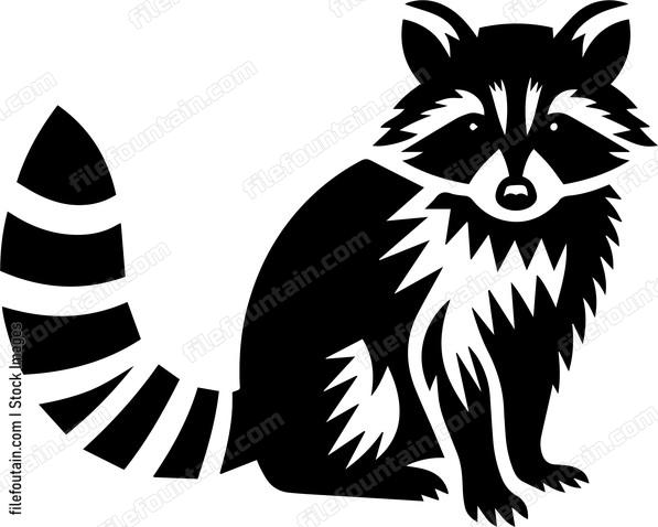 Raccoon