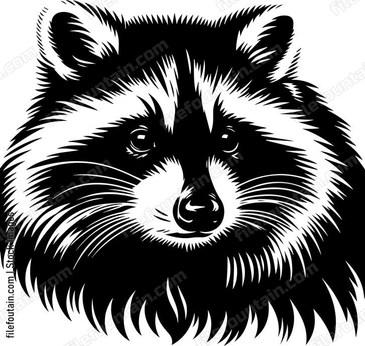Raccoon