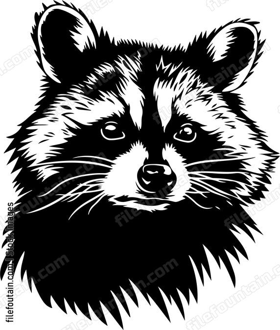 Raccoon is looking at the viewer