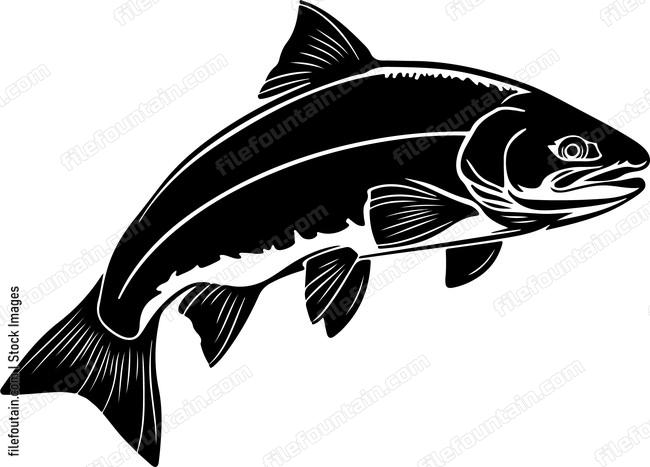 Rainbow Trout