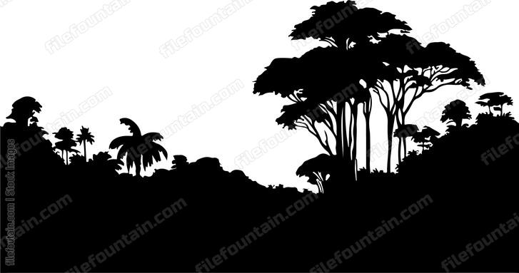 Rainforest Landscape