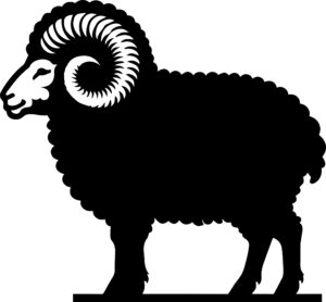 Ram