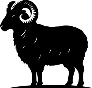 Ram