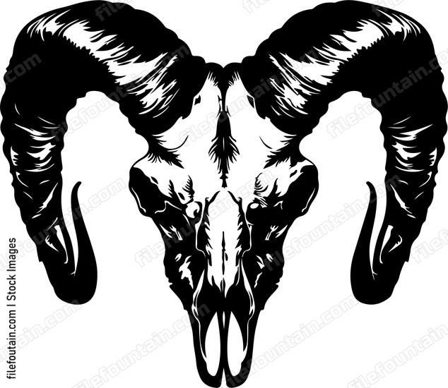 Ram Skull