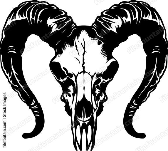 Ram Skull