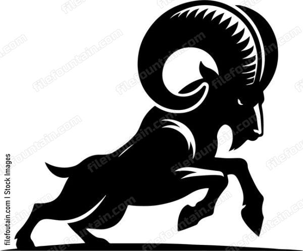 Ram With Big Horns