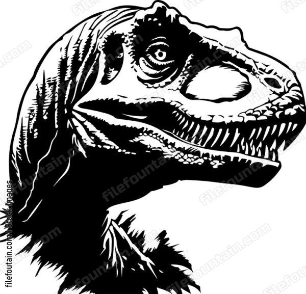 Raptor