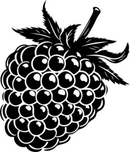 Raspberry