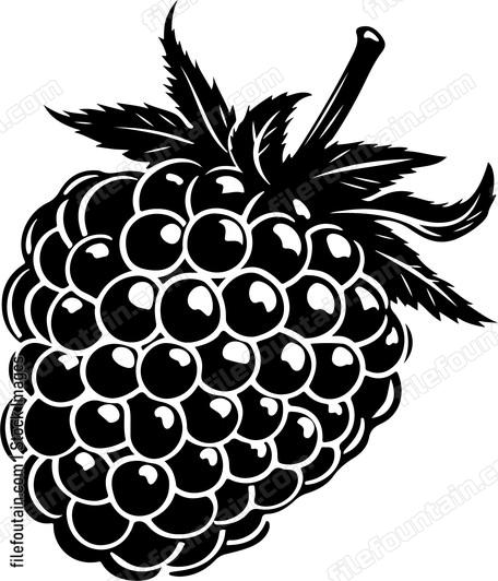 Raspberry
